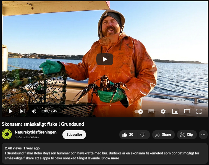 Se intervjun med Bobo Roysson på YouTube